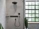 галереї Hansgrohe AddStoris Гачок 3.0 х1.6 см Brushed Black (41742340) - фото 2