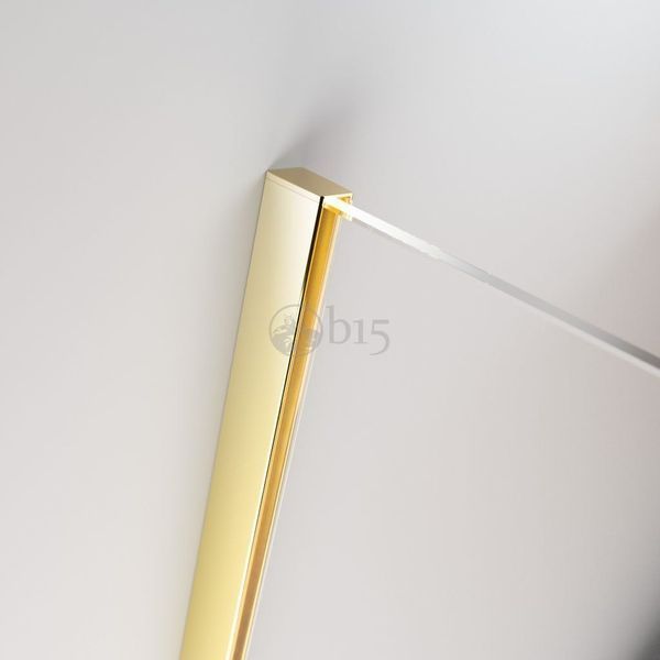 RADAWAY Душова кабіна Furo Gold KDD 120Lx100R 10105100-09-01L+10105120-09-01R
