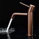 галереи IMEX MONZA BRUSHED ROSE GOLD Змішувач для умивальника, PVD матове рожеве золото - фото 2