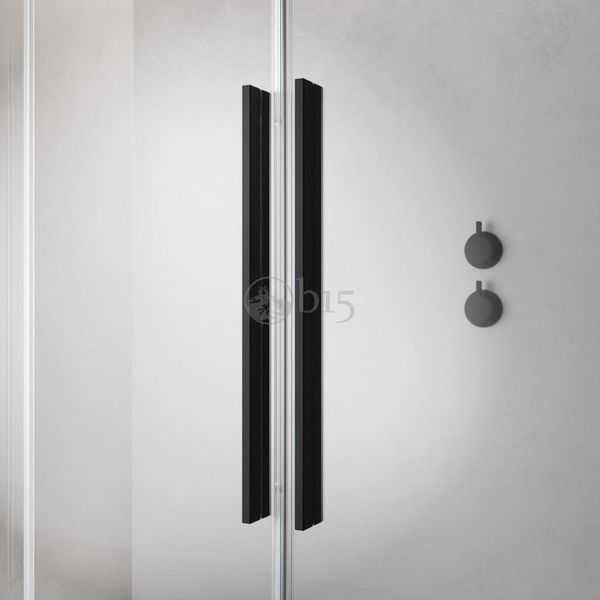 RADAWAY Душова кабіна Furo Black KDD 120Lx110R 10105110-54-01L+10105120-54-01R