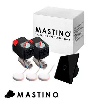 Система захисту від протікання води Mastino TS1 ¾ Light black 008607 фото