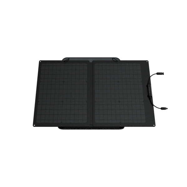 Сонячна панель EcoFlow 60W Solar Panel 4262 фото