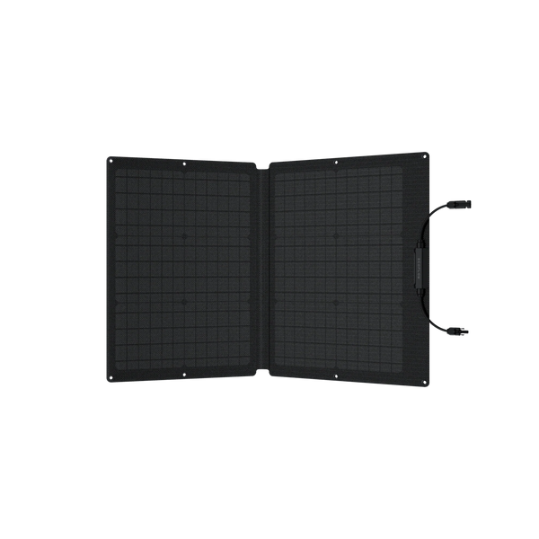 Сонячна панель EcoFlow 60W Solar Panel 4262 фото