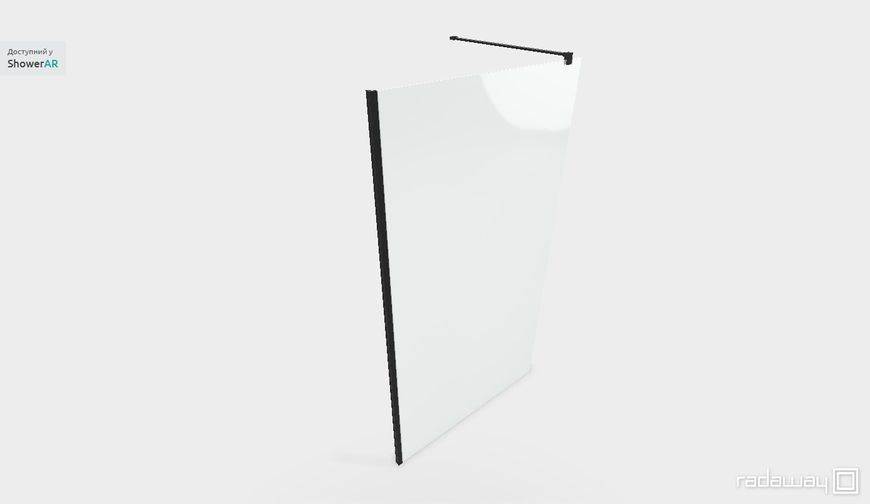 RADAWAY Душова перегородка Nes Black Walk-in II 120 см. скло прозоре 10013120-54-01